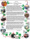 2008 Holiday Letter